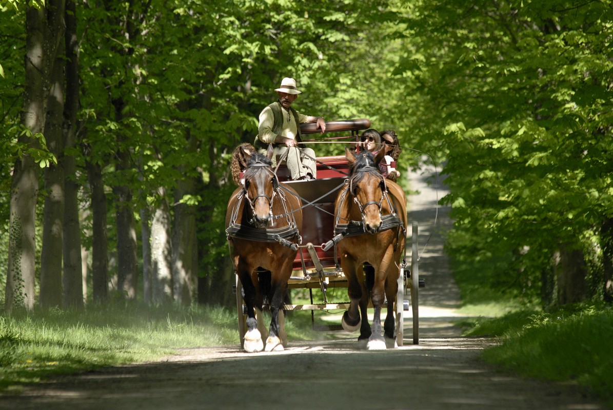 Balades à cheval accompagnées - Fontainebleau Tourisme - Fontainebleau  Tourisme
