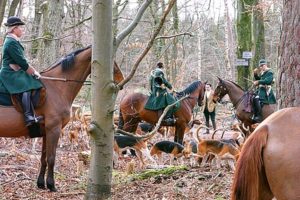 attelages Fontainebleau