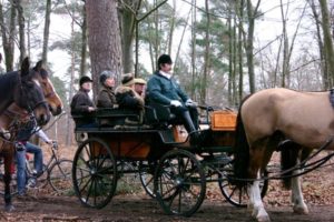 attelages Fontainebleau