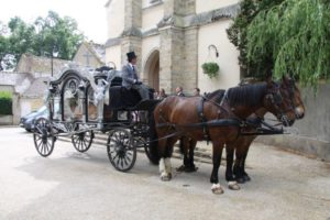 attelages Fontainebleau