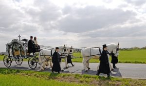 attelages Fontainebleau