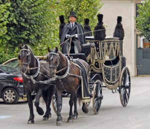 attelages Fontainebleau