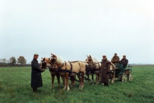 attelages Fontainebleau