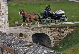 attelages Fontainebleau