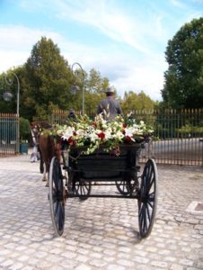 attelages Fontainebleau