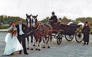 attelages Fontainebleau