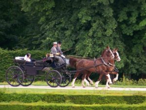 attelages Fontainebleau