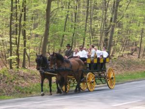 attelages Fontainebleau