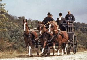 attelages Fontainebleau