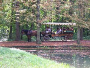 attelages Fontainebleau