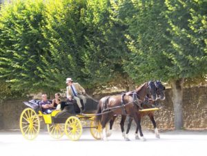 attelages Fontainebleau