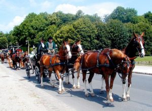 attelages Fontainebleau